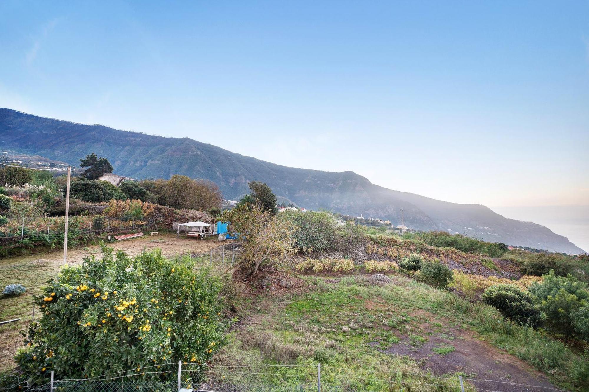Villa Casita Rural La Pinera Los Realejos Esterno foto